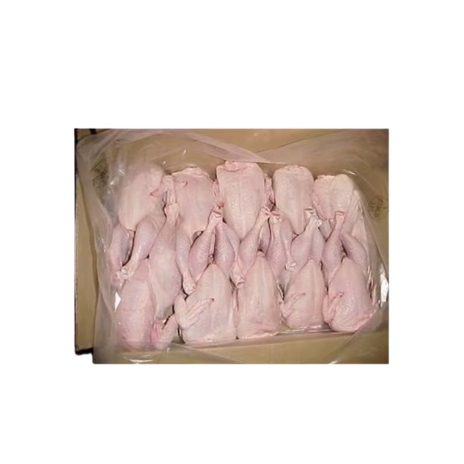 Alternative view of FRESH WHOLE CHICKEN