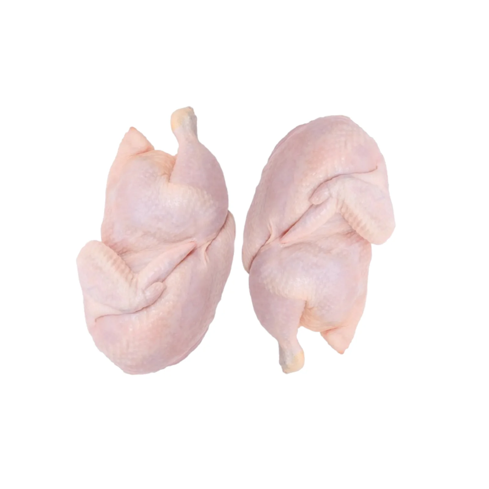 Chicken 2 way cut for restaurants and catering