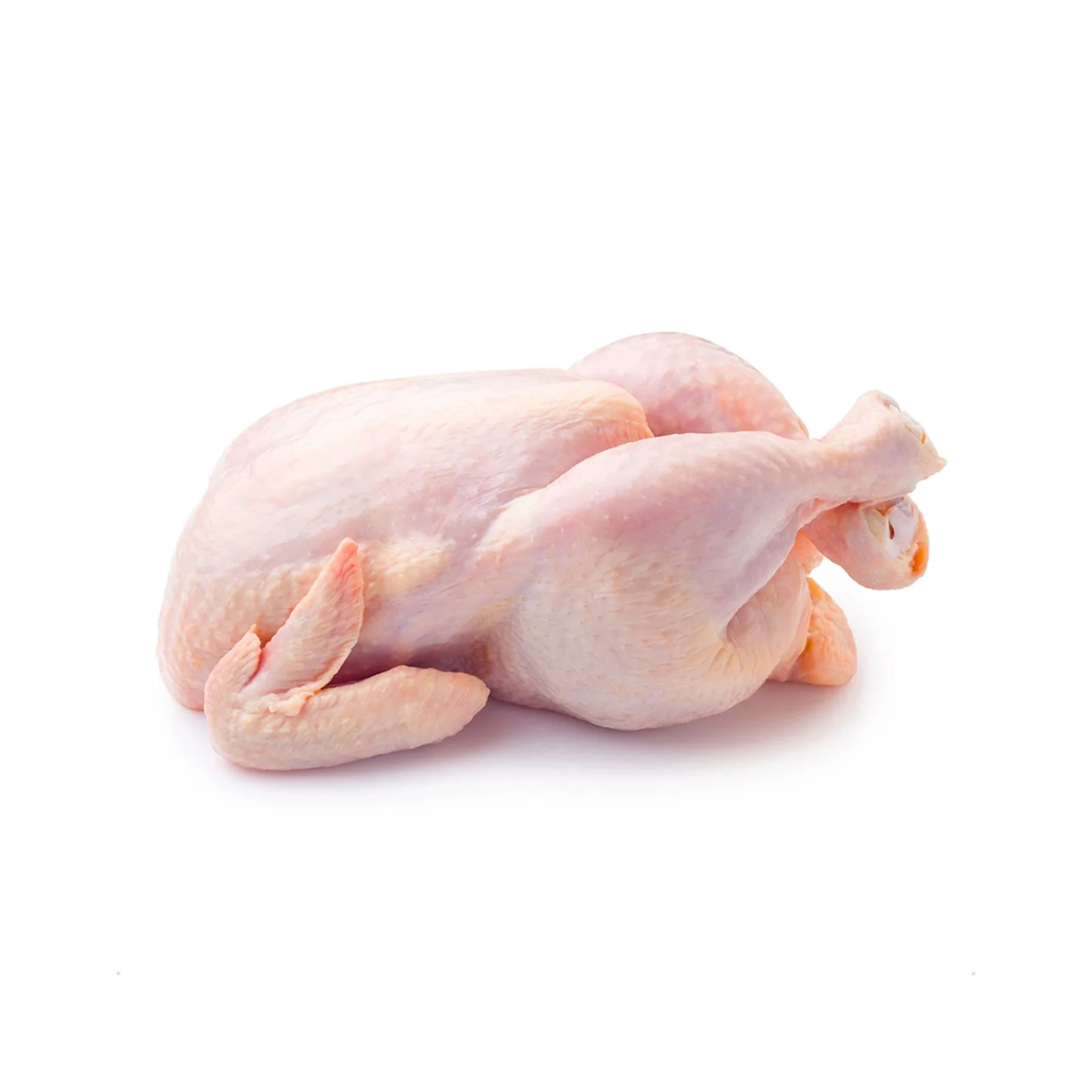 Fresh whole chicken for restaurants and catering