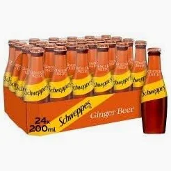 SCHWEPPES GINGER ALE EVO 200MLX24
